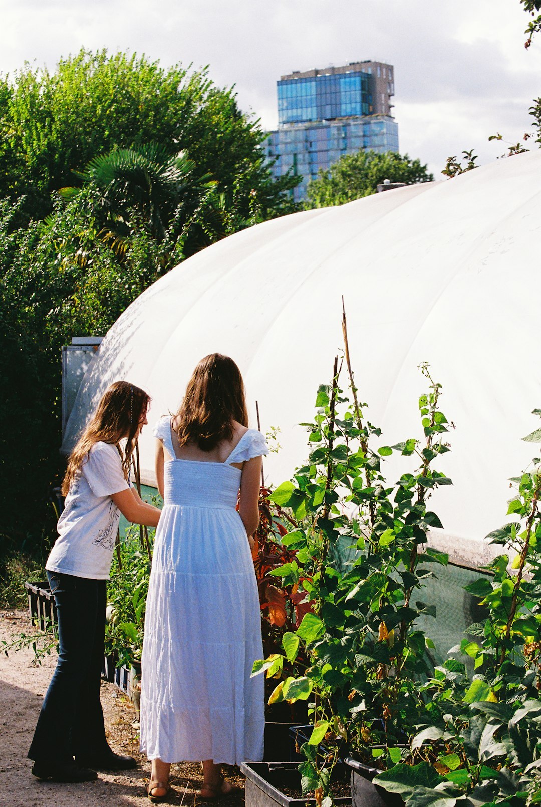woman in community garden