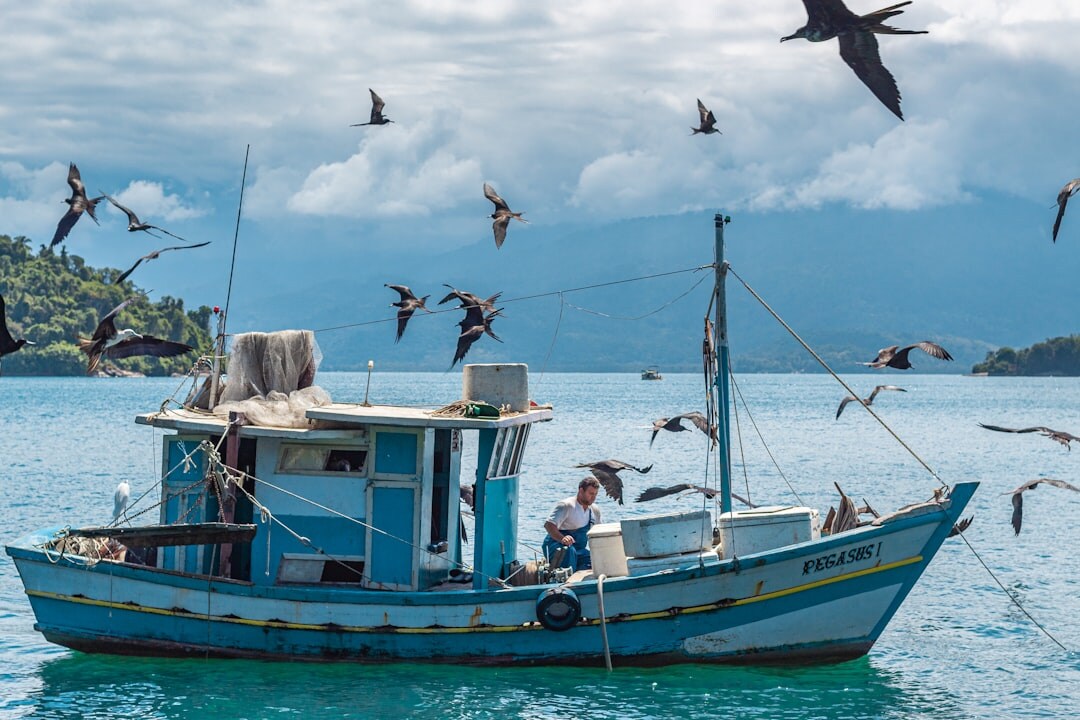 fisherman on boat
